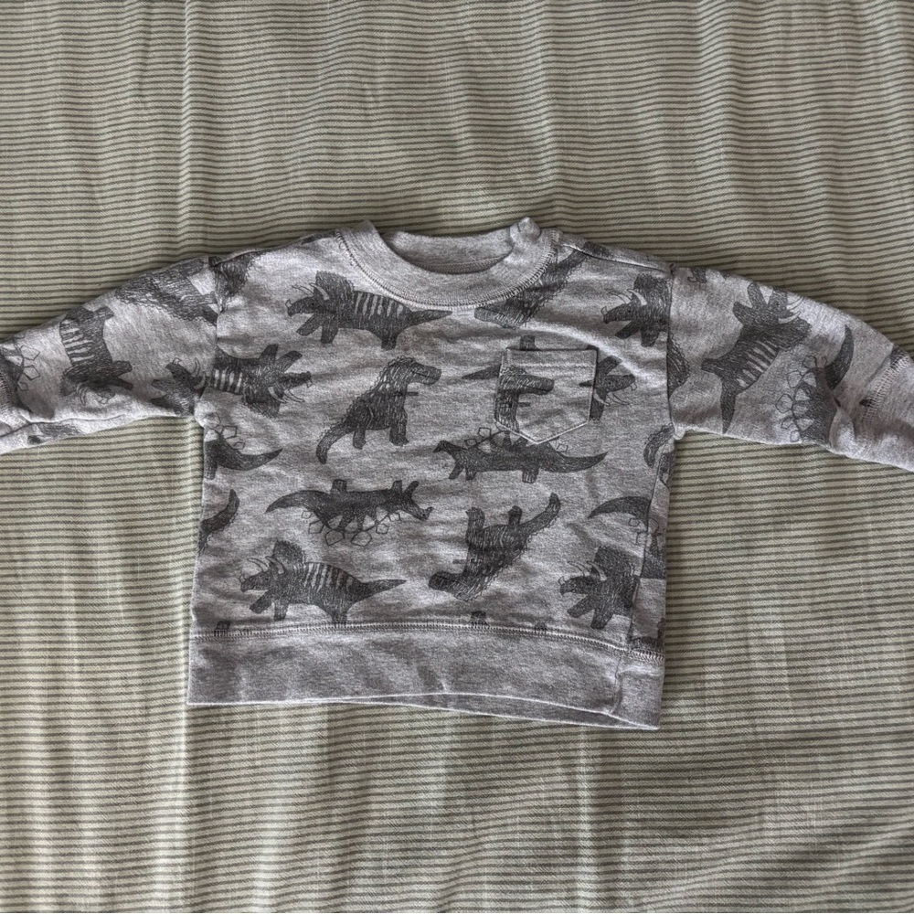 Gray and Green Dinosaur Baby Outfit Set - Picture 6 of 7